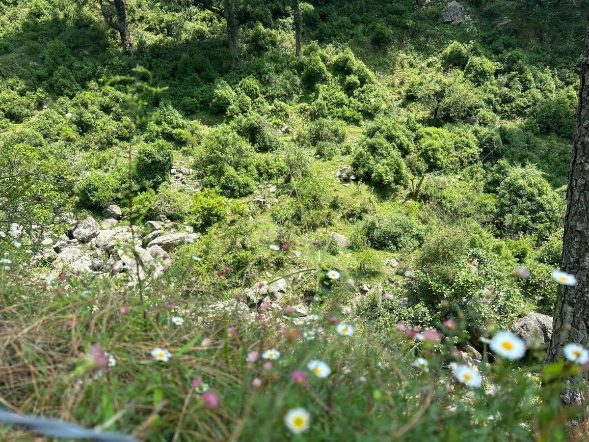 Deodar Village Homestay Devalsari Mussoorie Exterior photo